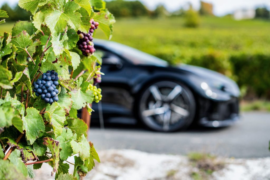 wine grapes and car in background